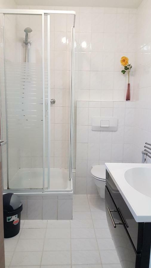 Flats-4U - Cosy, Quite & Clean Apartments In The City Bonn Esterno foto